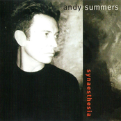 Umbrellas Over Java by Andy Summers