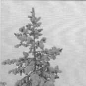 Glaciar Throne of Emptiness