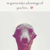 Theurgy | Emanations of Unconscious Luminescence