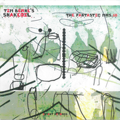 The Fantastic Mrs.10