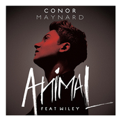 Don't You Worry Child (acoustic) by Conor Maynard
