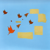 The Marriage Records Compilation: Is Orange Birds