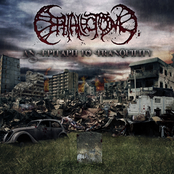 The Obliterating Swarm by Cephalectomy