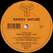 Hands Up Ravers by Raver's Nature