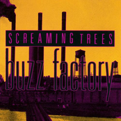 Windows by Screaming Trees