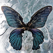 nYmPh_O