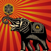 Twisted Elephant EP