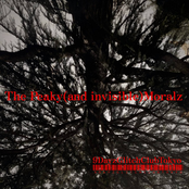 The Peaky (and invisible) Moralz