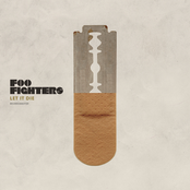 If Ever by Foo Fighters