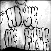 HOUSE OF FUCK