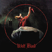 Witch by Wolf Blood