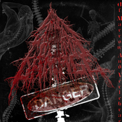 Of Marrow And Vertabrae