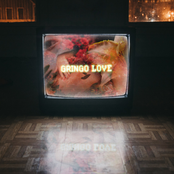 Gringo Love