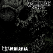 Puta Malaria / Decomposing King