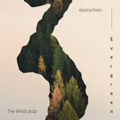 Evergreen - Single