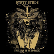 Dyrty Byrds: Failure Is Feedback