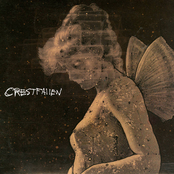 Human Fly by Crestfallen