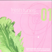 Fresh Tunes 01: For Your Working Pleasure