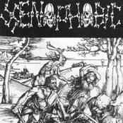 If You Want Blood? You've Got It!