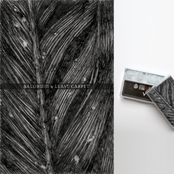 Baldruin/Least Carpet Split Tape