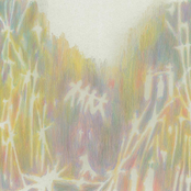 5,000 Lumens - Single