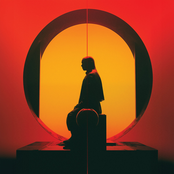 Snakes of Russia: True Surrender Remixes