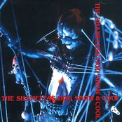 THE Shameless DOG Show & Cool