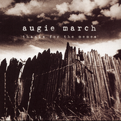 300 Nights by Augie March