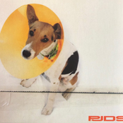 Away From God And Far From The Action