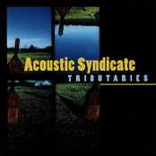 Acoustic Syndicate: Tributaries