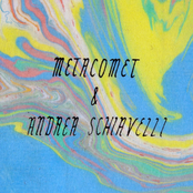 Metacomet/Andrea Schiavelli Split