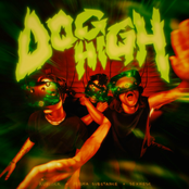 DOGHIGH