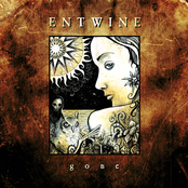 Thru The Darkness by Entwine