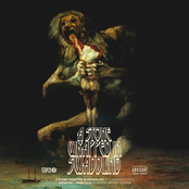 A Stone Wrapped in Swaddling