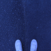 scene