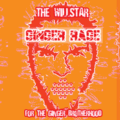 Ginger Rage [Single 2008]
