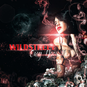 Wildstreet: Easy Does It - Single