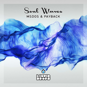 [LD13LP] mSdoS & Payback - Soul Waves LP - 2013