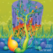 MOZYK010 - Fake Fur Seeds