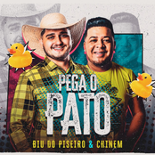 Pega o Pato