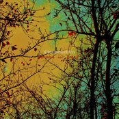 Moon In June/Superstition Ep (LWr001)