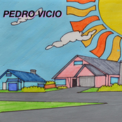 Pedro Vicio