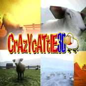 CrazyCattle3D OST