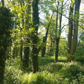 I Am So Tired // Not Now, Not Ever