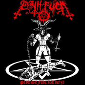 Putrefucktion