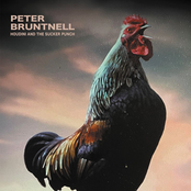 Houdini and the Sucker Punch