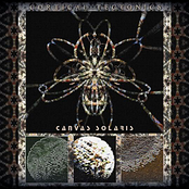 Reticular Consciousness by Canvas Solaris