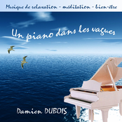 Un Piano dans les Vagues