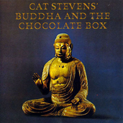 buddha and the chocolate box