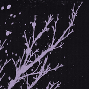 Here, the World Falls...